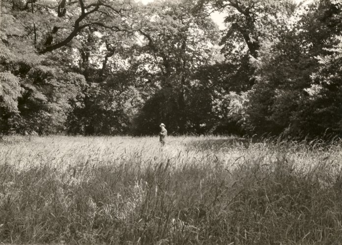 Hermann F. Reemtsma besichtigt das Baugelände im Jenischpark, 26. Juni 1960